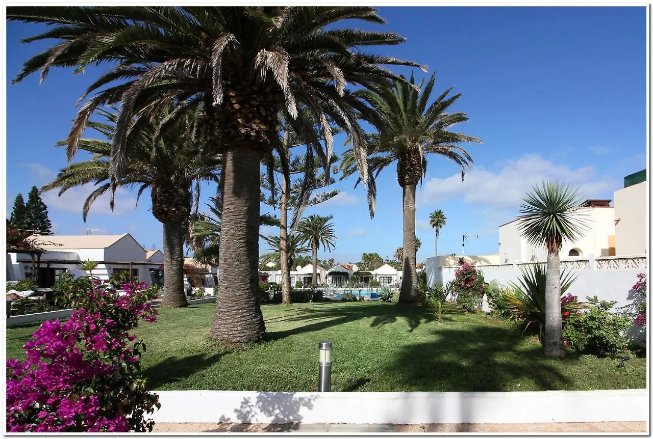 Estrella Del Mar 8. 1 Bedroom Villa With Pool And Gardens 300 Metres From The Beach コラレホ スペイン