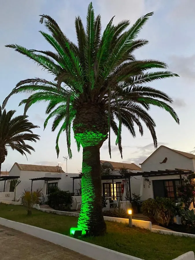 Estrella Del Mar 8. 1 Bedroom Villa With Pool And Gardens 300 Metres From The Beach コラレホ 0*,  スペイン