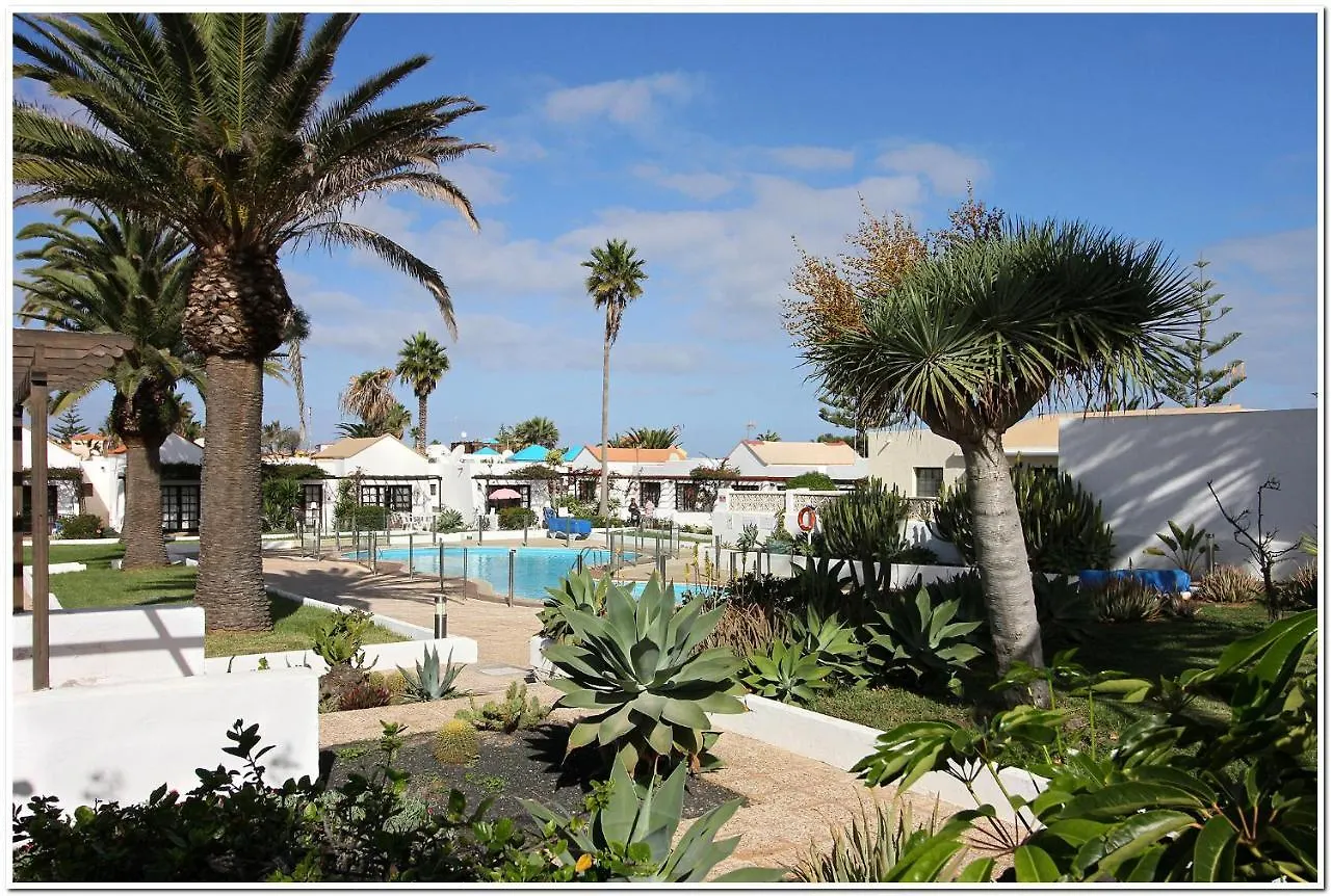 Estrella Del Mar 8. 1 Bedroom Villa With Pool And Gardens 300 Metres From The Beach コラレホ 0*,  スペイン